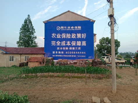  志丹墙体广告的优劣势你知道吗？